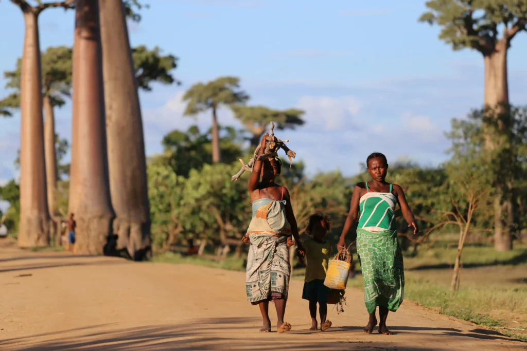 Famille malgache marchant sur une route bordée de baobabs emblématiques, sous un ciel bleu — scène authentique illustrant la vie quotidienne à Madagascar.