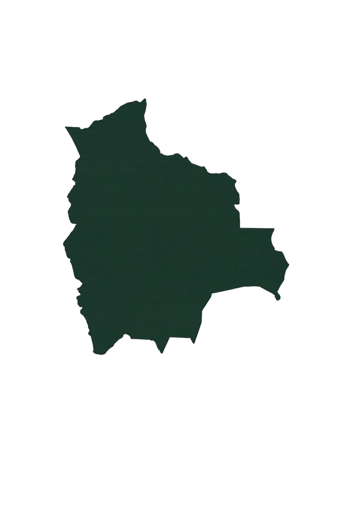 Silhouette noire de la carte de la Bolivie sur fond clair, repère visuel simple et efficace pour illustrer un travel planner Bolivie dédié à la découverte du pays.