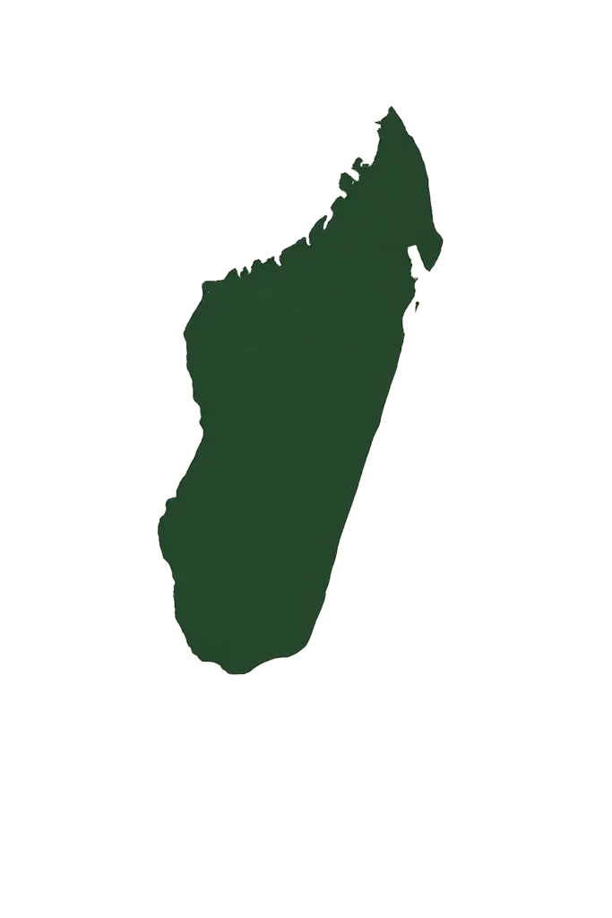 Carte silhouette de Madagascar en vert foncé sur fond clair, représentation géographique de l’île de l’océan Indien.