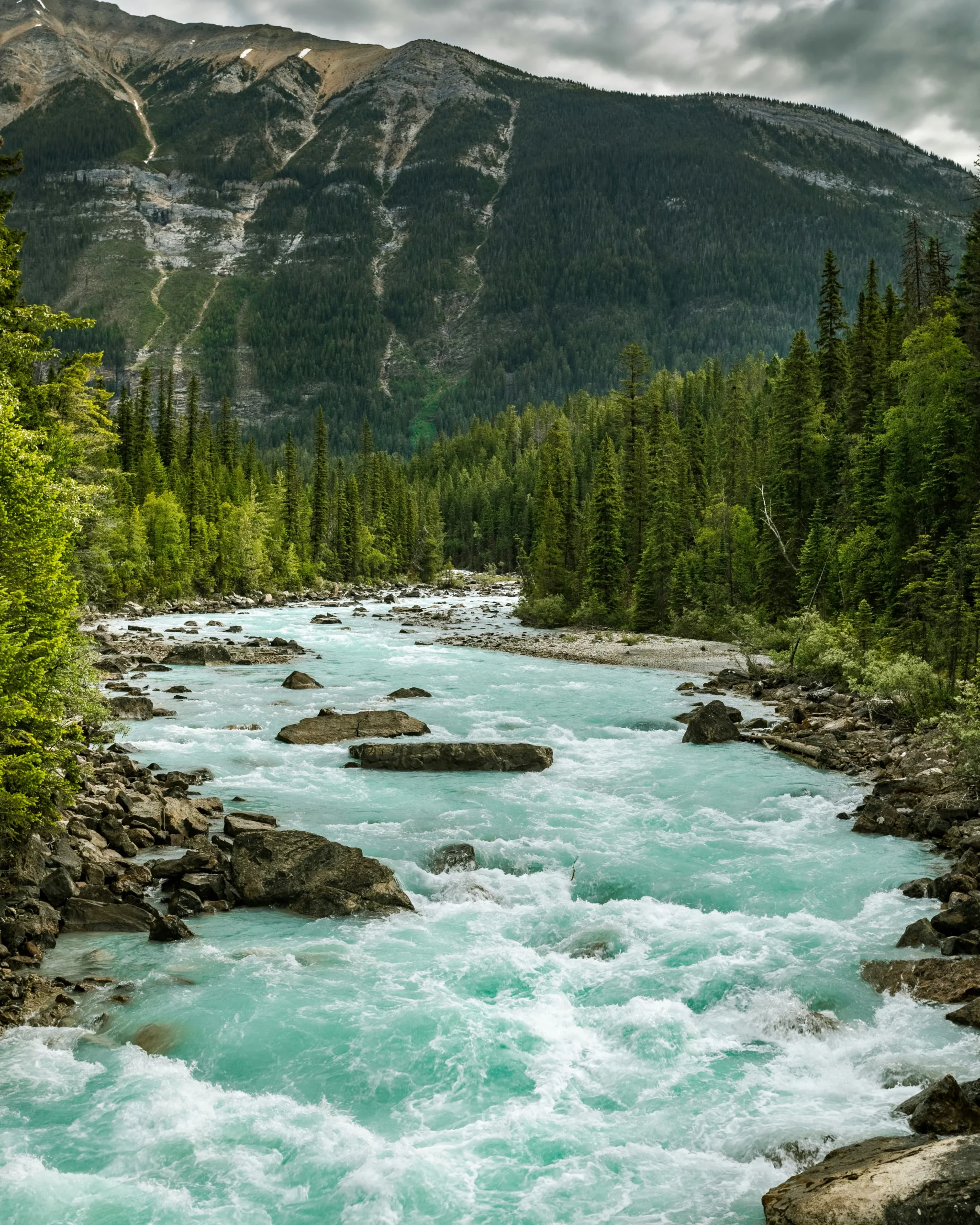 Rivière turquoise traversant une forêt dense dans un parc national canadien, lieu de randonnée à recommander dans un travel planner Canada.