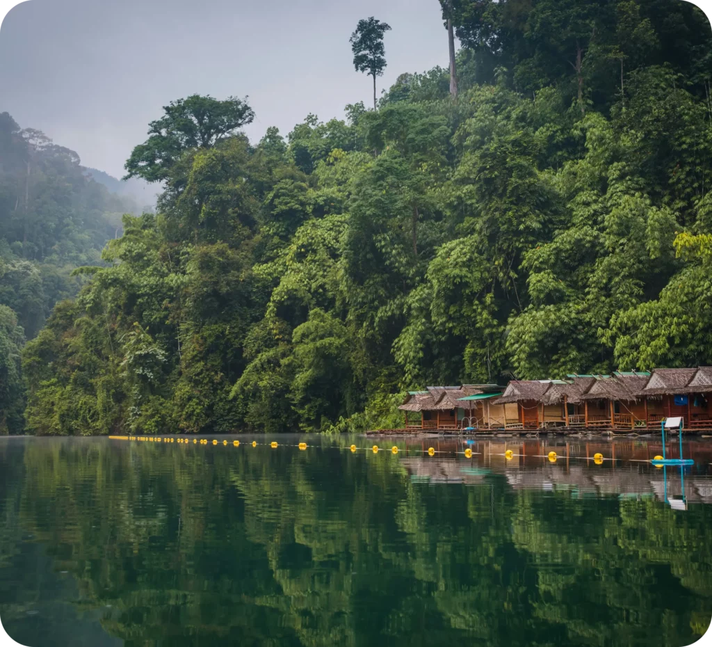 Bungalows flottants au bord d’un lac entouré de jungle luxuriante dans un parc national en Thaïlande, hébergement insolite proposé par un travel planner spécialisé en écotourisme et séjours nature.